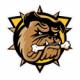   Springfield Bulldogs